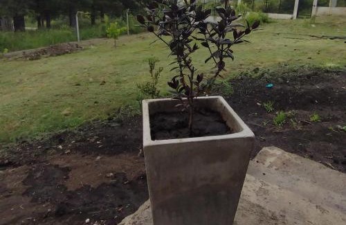 Trevelin House | Posada Patagonica