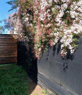 Salto House | Posada Viraro - Duplex para disfrutar en familia