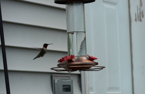 Shirley Cabin | Post and beam cabin with queen size and bunk