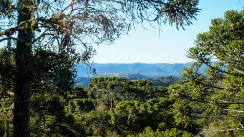 Urubici Cabin | Pousada Caminho das Araucárias
