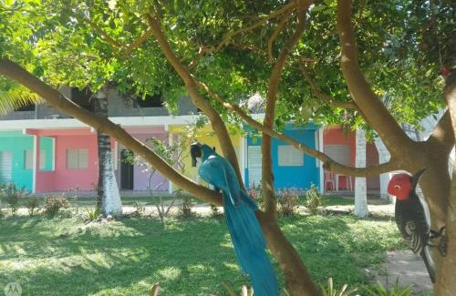 Armacao do Tairu Hotel | Pousada Praia de Tairu