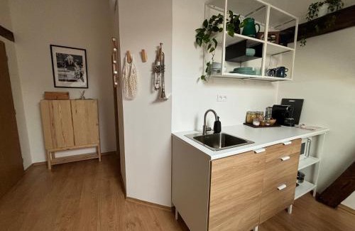 Zilina Apartment | Povala s parkovaním staré mesto