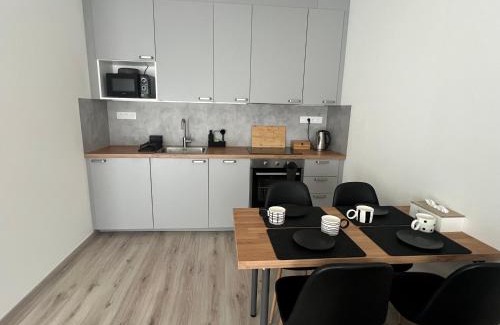 Tuchomerice Apartment | Prague Airport Apartment