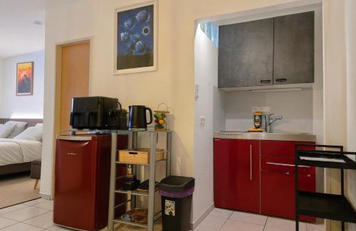 Tarforst Apartment | Premium Budget Studio