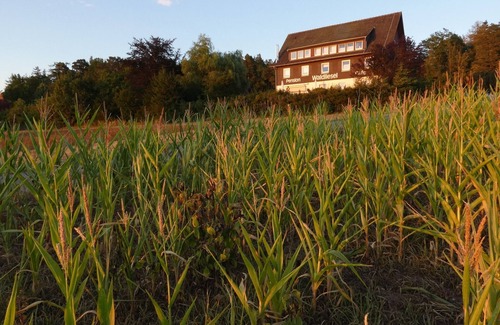 Hallwangen Apartment | Premium double room with shower and WC, approx. 25 sqm