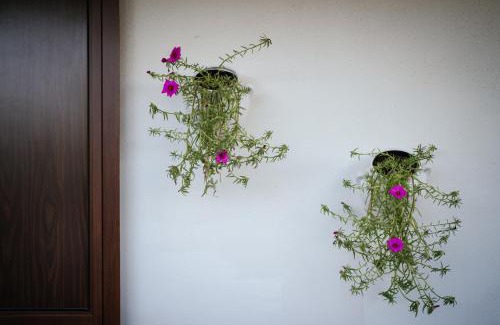 L'Assunta Villa | Prestigiosa villa con piscina condominiale