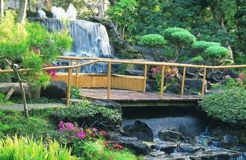 Ala Moana House | Prime Location! 2 Sleek Units, Onsite Pool, Pet-Friendly Property