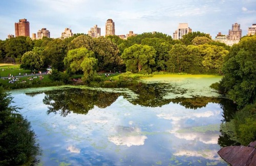 SoHo House | Prime Location! Onsite Pool, Pet-friendly, Minutes to Strawberry Fields