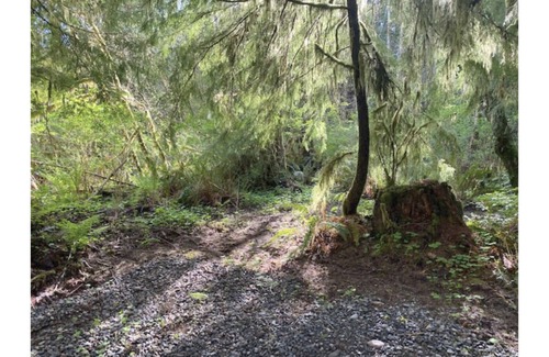 Forks RV Rental | Primitive Tent Site #12- Beautiful Forested Property