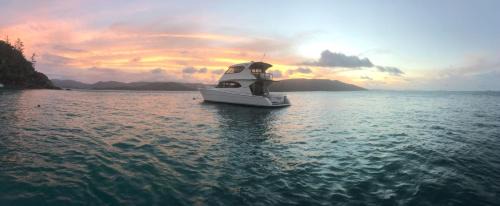 Airlie Beach Boat Rental | Private Charter - Ocean Free