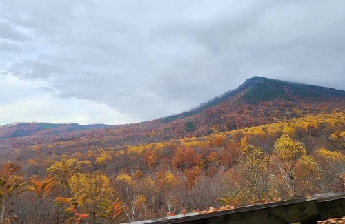 Sevierville House | Private couples retreat/pet friendly/early checkin