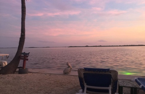 Breezeswept Beach Estates House | Private House Facing the Ocean with Heated Pool/Spa