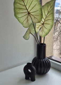 Vilnius Apartment | Private room at 4 stars Hotel