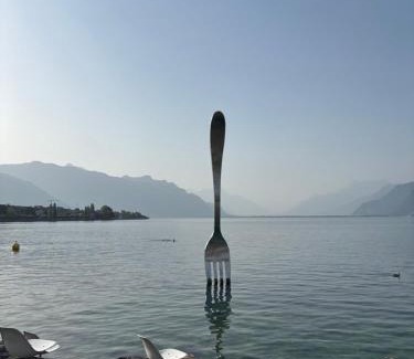 Vevey Apartment | Private Room in Central Vevey Shared Kitchen & Bathroom