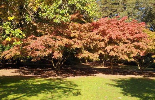 Roath House | Private room near Roath Lake/Park