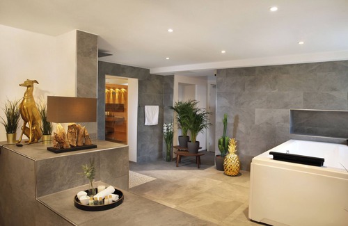 Hoengg Apartment | Private Spa LUX with Whirlpool and Sauna in Zurich