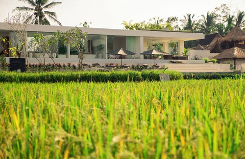 Pejeng Kawan Villa | Private Villa with butler service surrounded by rice fields and jungle views.