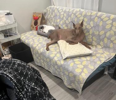 Burbank House | Property 1