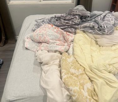 Burbank House | Property 1