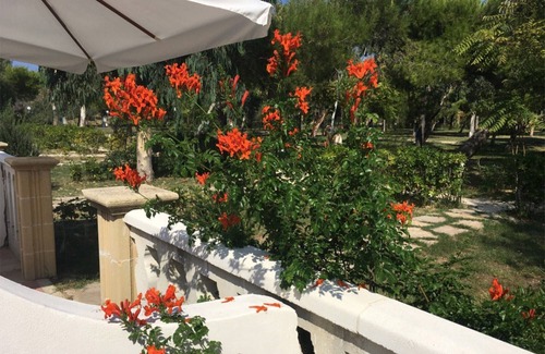 Chiesiola Resort | Property in a Holiday Village 'Baia Falcone - Comfort 210' with Sea View and Air Conditioning