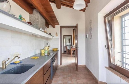 Civitella d'Agliano Other | Property with privacy between Olive trees and 360° panorama.