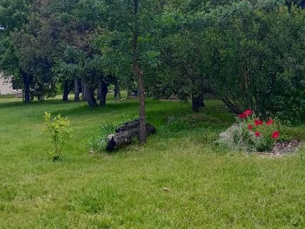 El Hoyo Ski Chalet | Prunus Casa de Montaña