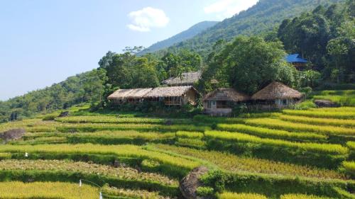 Pu Long Nature Reserve Other | Pu Luong Ecocharm