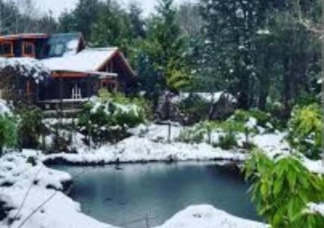 Pucon Hotel | Pucón Volcano Forest SPA