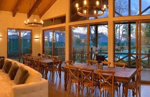 Pucon Apartment | Pucon villarrica