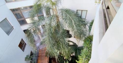 Buenos Aires Central Business District Apartment | Puente de la Mujer