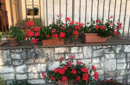 Enego Bed & Breakfast | Puffele b&b