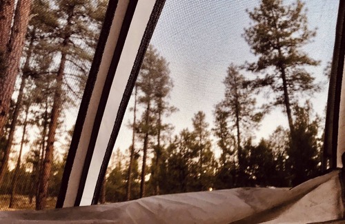 Pine RV Rental | Pull in, Eat, Party, Relax, Sleep, Pull out. Futon Couch, padded floor. Sleeps 6