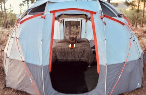 Pine RV Rental | Pull in, Eat, Party, Relax, Sleep, Pull out. Futon Couch, padded floor. Sleeps 6