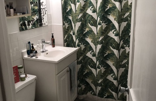 Irving Park Apartment | Pup Friendly Apartment with Fenced Backyard