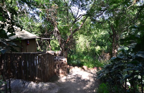 Thorny Bush Game Reserve House | Pure Wilderness in Amanzimlotzi Riverside Bush Tent in Limpopo, Kruger Park