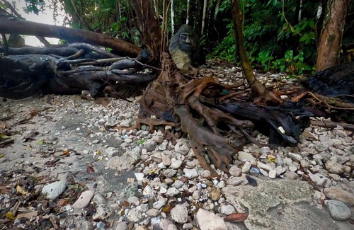 Honiara House | Putuo Ecolodge - House - Sleeps 2 - Seaside