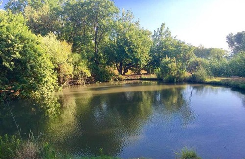 Kfar Szold Apartment | פינה בגינה- יחידת דיור מקסימה בקיבוץ בעמק החולה