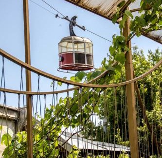 Telavi Hotel | Qilimcha's Guesthouse-Art Museum