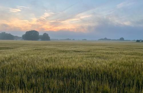 Listarum Bed & Breakfast | Quadambra Park The View