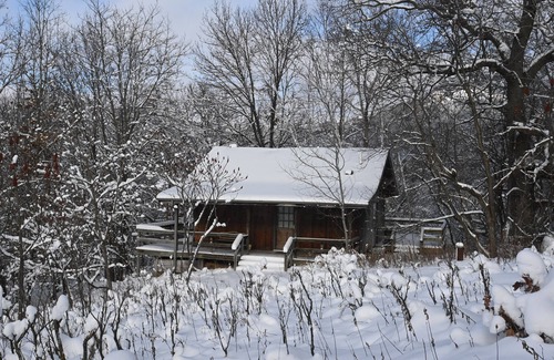 Norwalk Cabin | Quaint cabin overlooking the creek below and wetlands in the valley basin.