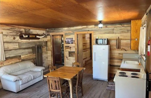 Alpine Cabin | Quaint Country Cabin in the tall pines AlpineAZ #2