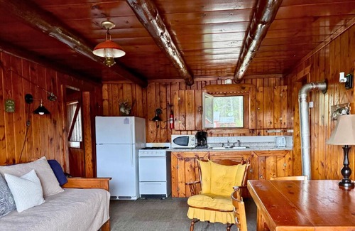 Trout Lake Cabin | Quaint Lakefront Cabin #2 on Frenchman Lake in Trout Lake, MI with row boat