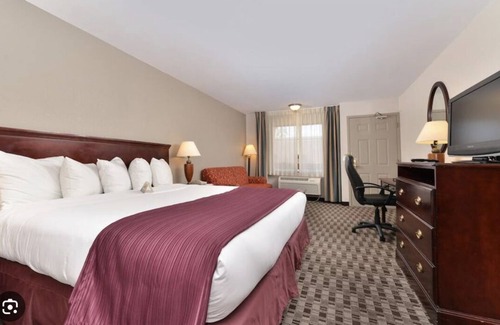Indio Hotel | Quality Inn & Suites, Indio
