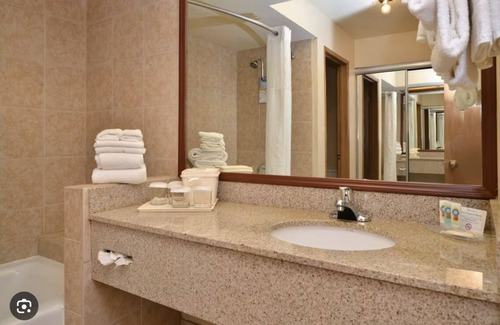 Indio Hotel | Quality Inn & Suites, Indio