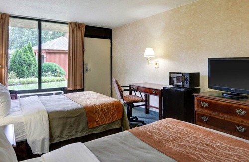 Tysons Hotel | Quality Inn Tysons Corner