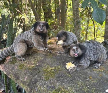Pati Valley House | Quarto privativo no Quintal dos Sonhos