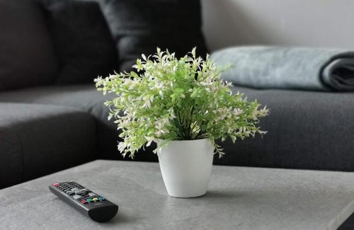 Stryck Apartment | Quatier-Bergzeit-2