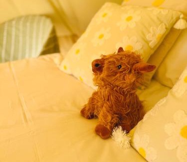 Isle of Thanet Other | Quex Glamping