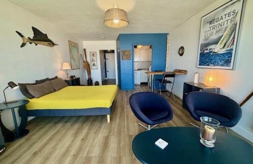 Quiberon Apartment | Quiberon - Studio rénové 33m² avec Balcon, Parking et Animaux acceptés - FR-1-478-121