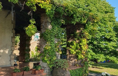 Monterotondo Marittimo House | Quiet country house with pets allowed